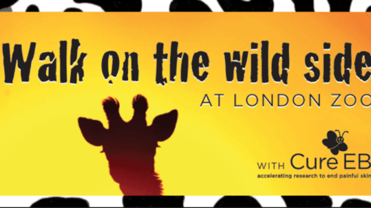 Giraffe in silhouette against sunet with title 'Walk on the wild side at London Zoo' overlaid
