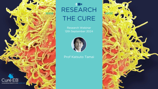 Background image overlaid with text "Research the Cure Research Webinar 12th September 2024 Prof Katsuto Tamai" and profile photo of Prof Tamai